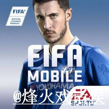 2026世界杯买球APP经验分享，入口辨别和官方入口别忽略